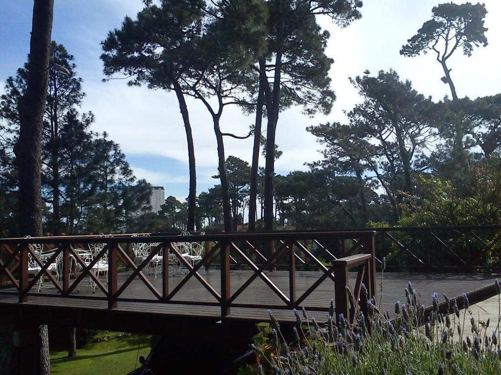 Josephine Boutique Hotel 埃斯特角城 外观 照片