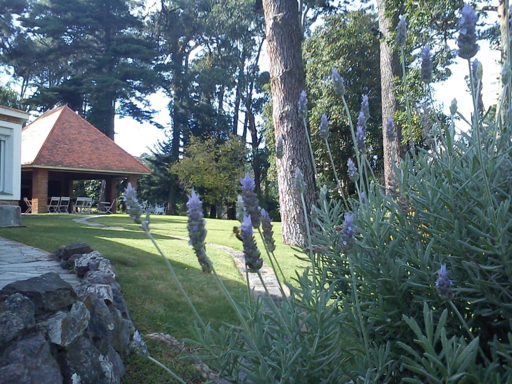 Josephine Boutique Hotel 埃斯特角城 外观 照片